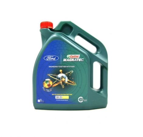 Олива моторна  Castrol Professional Magnatec 5w-20 5л. (151А95)